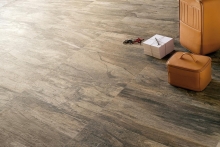 petrified_tree-emil_ceramica_beige_bark_burkololap_nagy_kep